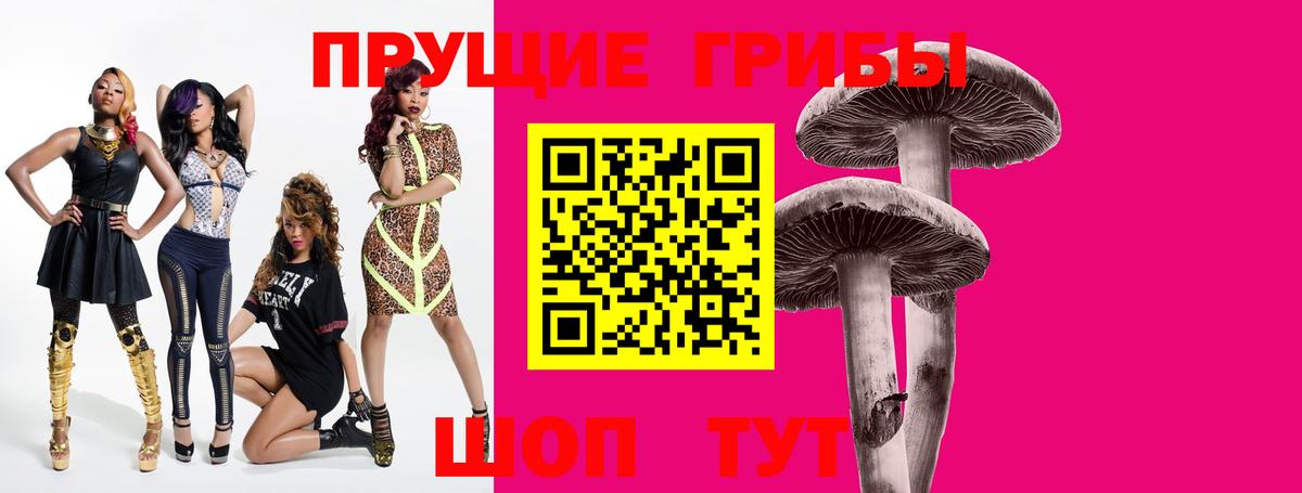 Троицк  как найти закладки  Вход с VPN  Псилоцибиновые грибы GOLDEN TEACHER 
